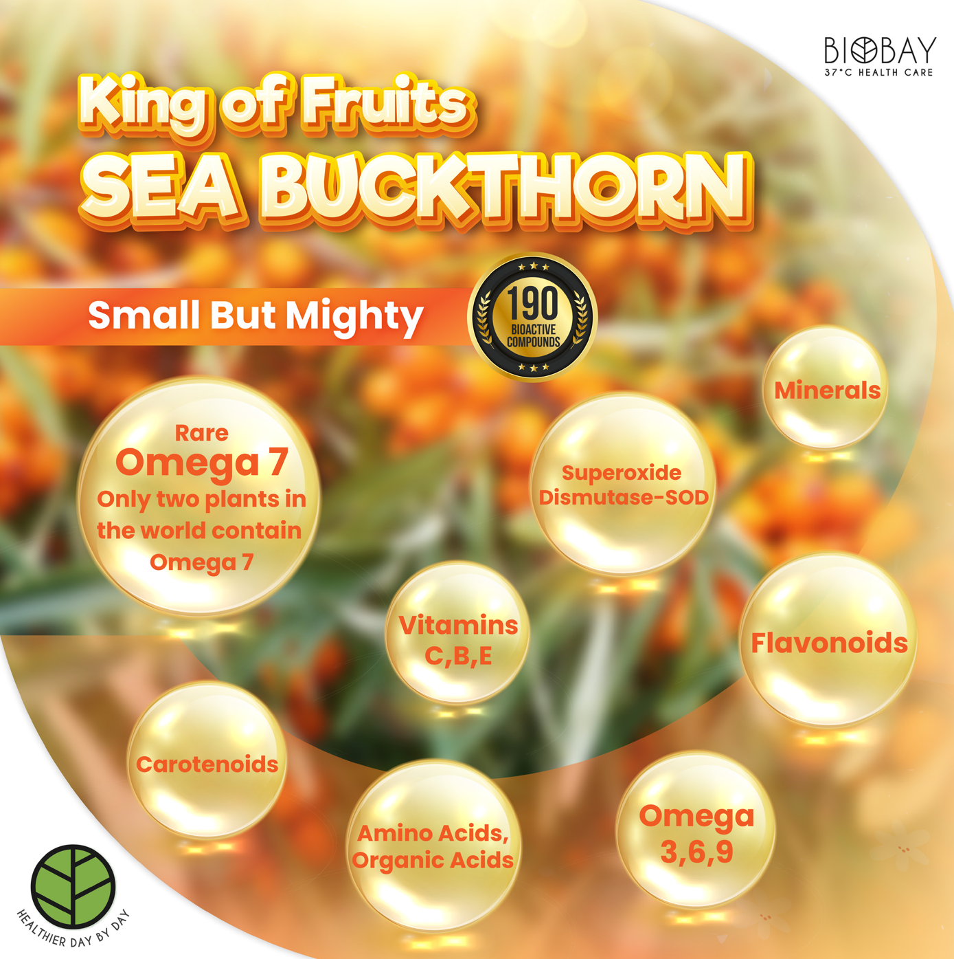 Biobay sea buckthorn